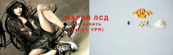 сатива Армянск