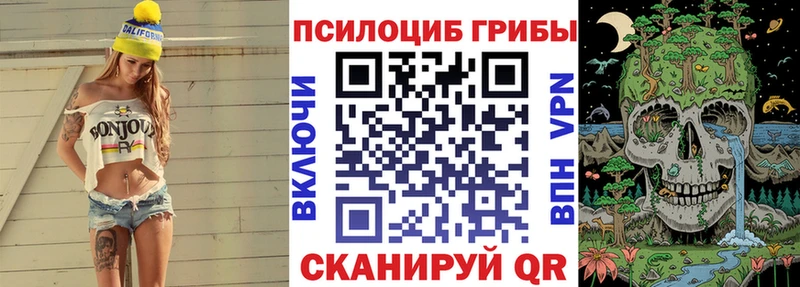 Псилоцибиновые грибы Cubensis  где продают наркотики  Няндома 